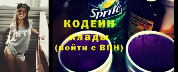 гашик Алексин