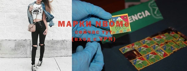 гашик Алексин