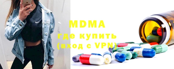 гашик Алексин