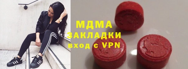 гашик Алексин