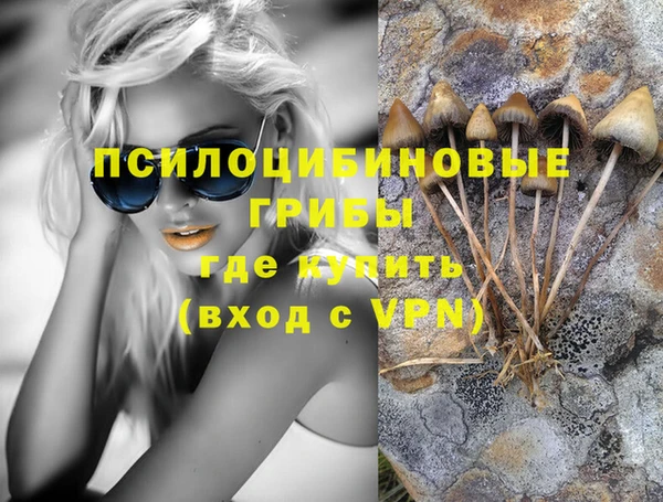 гашик Алексин