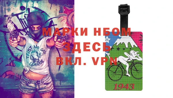 гашик Алексин