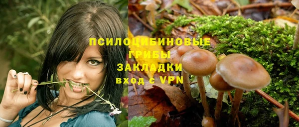 гашик Алексин